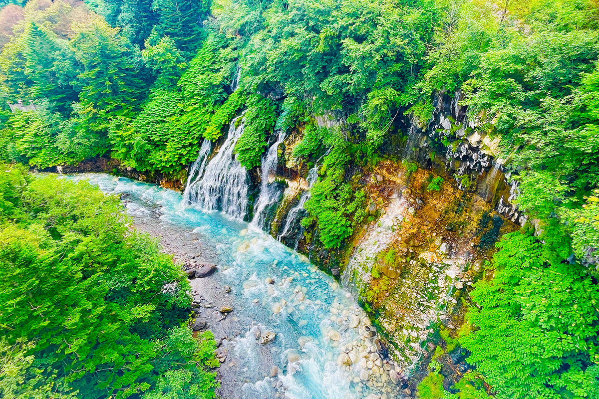 Furano & Biei Chartered One Day Tour: Explore Hokkaido's Beauty