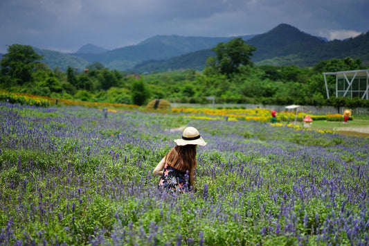 KhaoYai All - Time Favorites Private Car from Bangkok