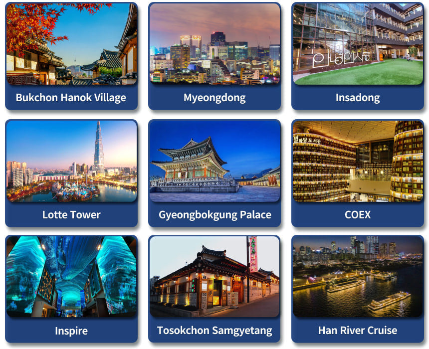 Seoul Private Car Charter to Seoul City - Seoul Suburb - Gangwon - do (Nami Island - Alpaca World - Sokch