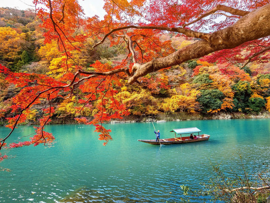 Osaka Departure丨Kansai Region Customized Private Car Day Tour (Osaka/Kyoto/Nara/Kobe/Wakayama)