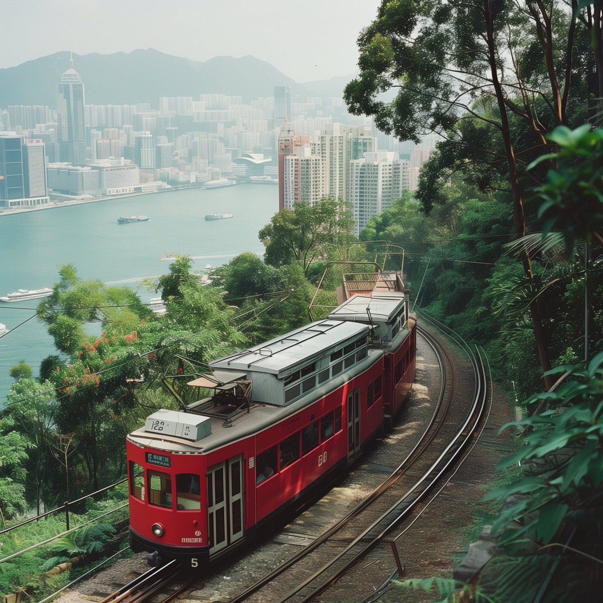 Private Car Day Tour: Victoria Peak & Central & Victoria Park