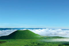 Kyushu Fukuoka Private Car Charter Day Tour