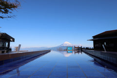 Tokyo Departure: Izu - Atami Customized Private Car Day Tour