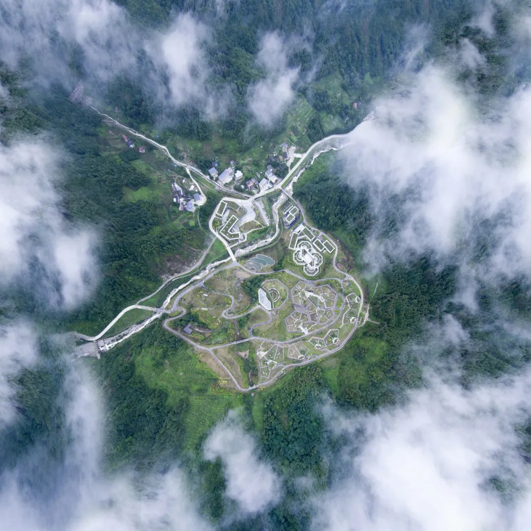 Private Car Tour: Chengdu Round Trip to Shenshuping Panda Base & Dujiangyan Irrigation System Day Tour