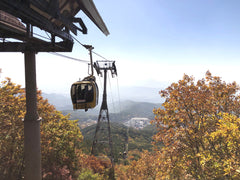 Daegu Chartered Car Private Taxi Tour from Daegu
