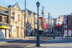 Hokkaido | Sapporo City - Furano - Lake Toya - Otaru Customized Private Car Day Tour