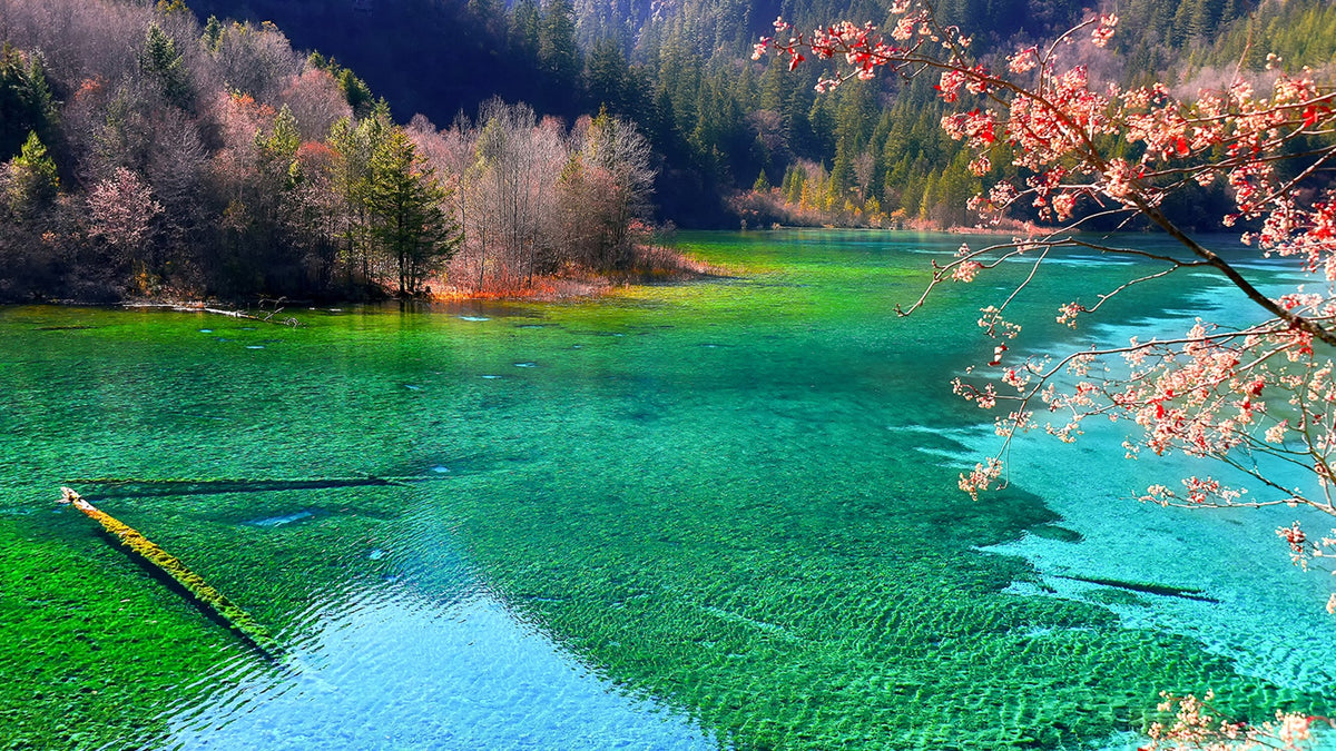 Jiuzhaigou - Huanglong 1 - Day Chartered Car (Including High - Speed Rail Station Transfer)