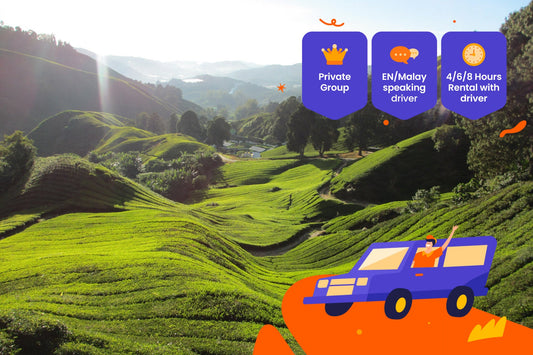 Cameron Highlands Private Car or Van Charter