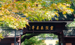 Hangzhou Lingyin Temple & Faxi Temple & West Lake Private Car Day Tour