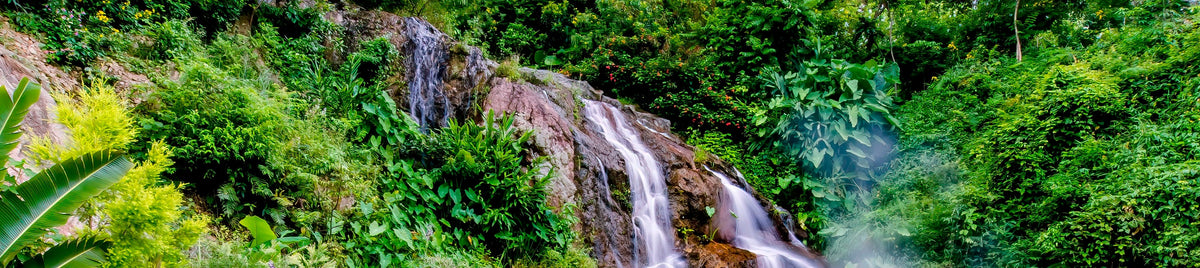 Nantou Ancient City, Qingqing World, and Sea World Chartered One - Day Tour