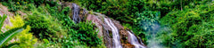 Nantou Ancient City, Qingqing World, and Sea World Chartered One - Day Tour