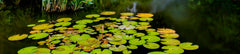 Nantou Ancient City, Qingqing World, and Sea World Chartered One - Day Tour