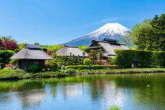 Mount Fuji Private Chartered Day Trip (From Tokyo)