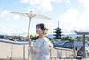 Osaka Area | Kyoto, Nara, Uji, Kobe, Himeji Castle Customized Day Tour | Private Chartered Car Free Itinerary