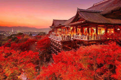 Osaka, Kyoto, Nara, Kobe, & Awaji Island Private Car Charter Tour