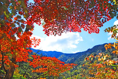 Gangwon - do (Seoraksan, Sokcho) Private Car Charter