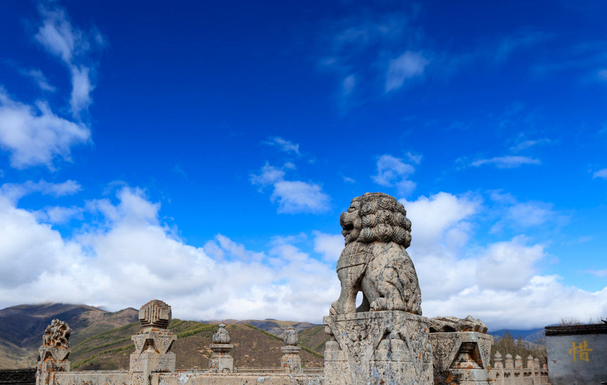 Taiyuan to Mount Wutai Private Car Charter