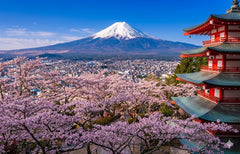 Tokyo Private Customized Charter Free Tour V.I.P Luxury Exclusive Car Private Transfer and Charter Service in Tokyo, Mount Fuji, Hakone, Kamakura, and other places Customizable Itinerary English, Chinese, Cantonese (Green Plate)