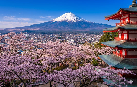 Tokyo Private Customized Charter Free Tour V.I.P Luxury Exclusive Car Private Transfer and Charter Service in Tokyo, Mount Fuji, Hakone, Kamakura, and other places Customizable Itinerary English, Chinese, Cantonese (Green Plate)