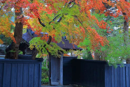 [Tohoku, Japan | Akita Private Car Tour] Akita City & Lake Tazawa - Kashima - Kakunodate - Dakigaeri Gorge | Customizable Itinerary