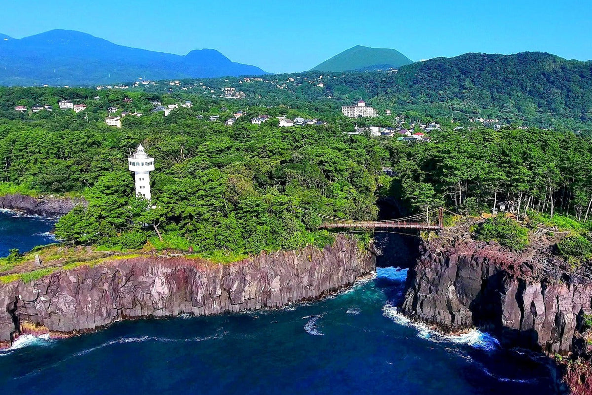 Tokyo Departure: Izu - Atami Customized Private Car Day Tour