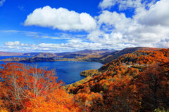 Aomori | Oirase Stream & Shirakami Mountains Private Chartered Day Tour | Customizable Itinerary
