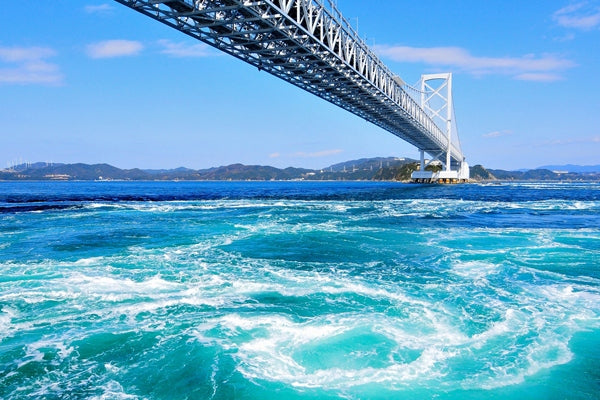 Tokushima Private Car Charter Day Tour: Otsuka Museum of Art - Naruto Whirlpools - Iya Kazurabashi Vine Bridge (Customize Your Itinerary)