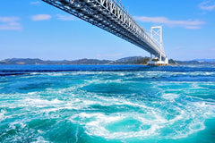 Tokushima Private Car Charter Day Tour: Otsuka Museum of Art - Naruto Whirlpools - Iya Kazurabashi Vine Bridge (Customize Your Itinerary)