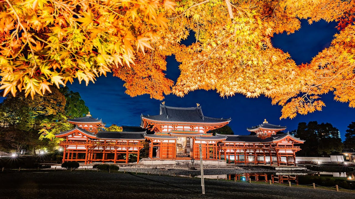 Osaka Area | Kyoto, Nara, Uji, Kobe, Himeji Castle Customized Day Tour | Private Chartered Car Free Itinerary
