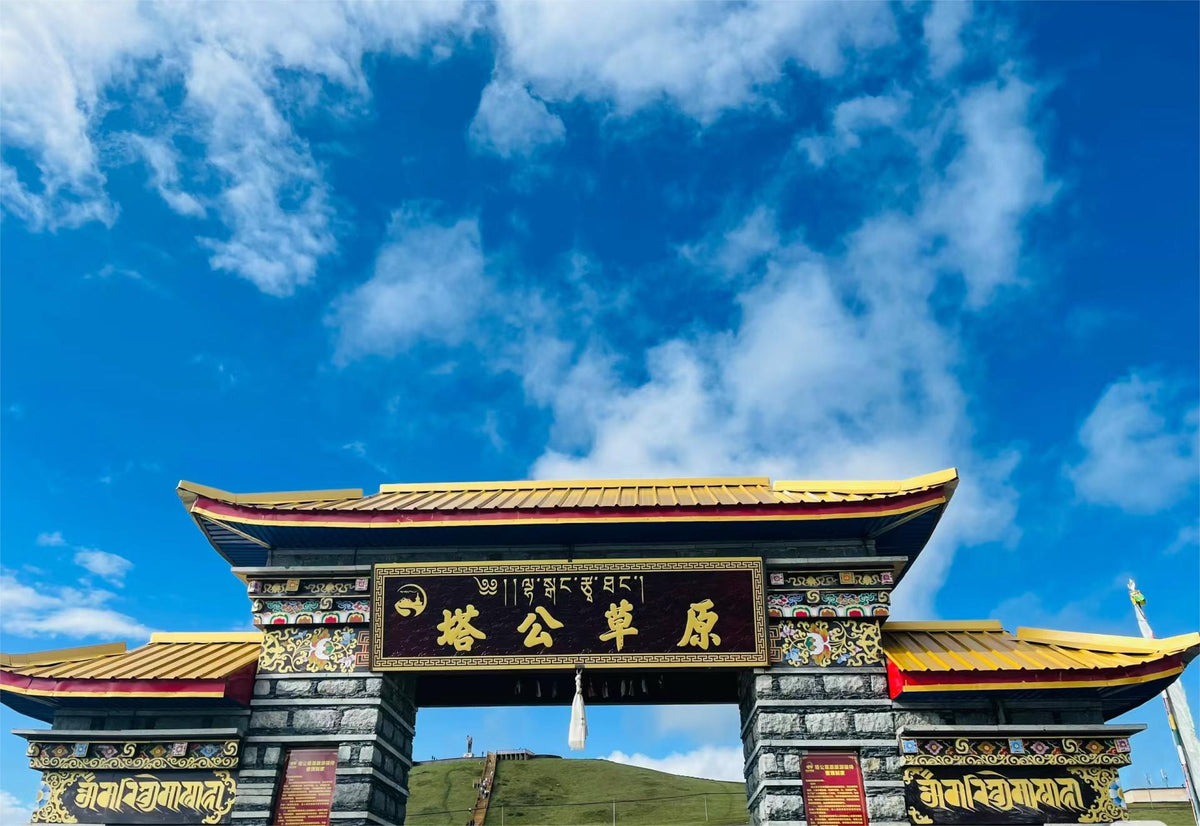 Private Car Tour: Chengdu Siguniang Mountain - Wolong Shenshuping - Tagong Grassland Xinduqiao - Mugecuo Multi - Day Private Car Tour