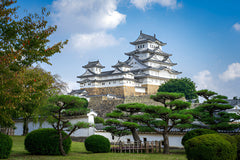 Kobe & Himeji Charter Car 1 - Day Trip (from Kyoto - Osaka - Kobe)