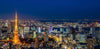 Tokyo Private Chartered Car Day Tour (Customizable Itinerary)