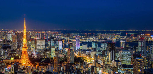 Tokyo Private Chartered Car Day Tour (Customizable Itinerary)