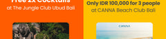 Bali Private Car Rental with Driver