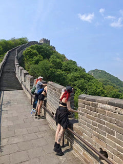 Beijing Private Day Charter (with Guide)