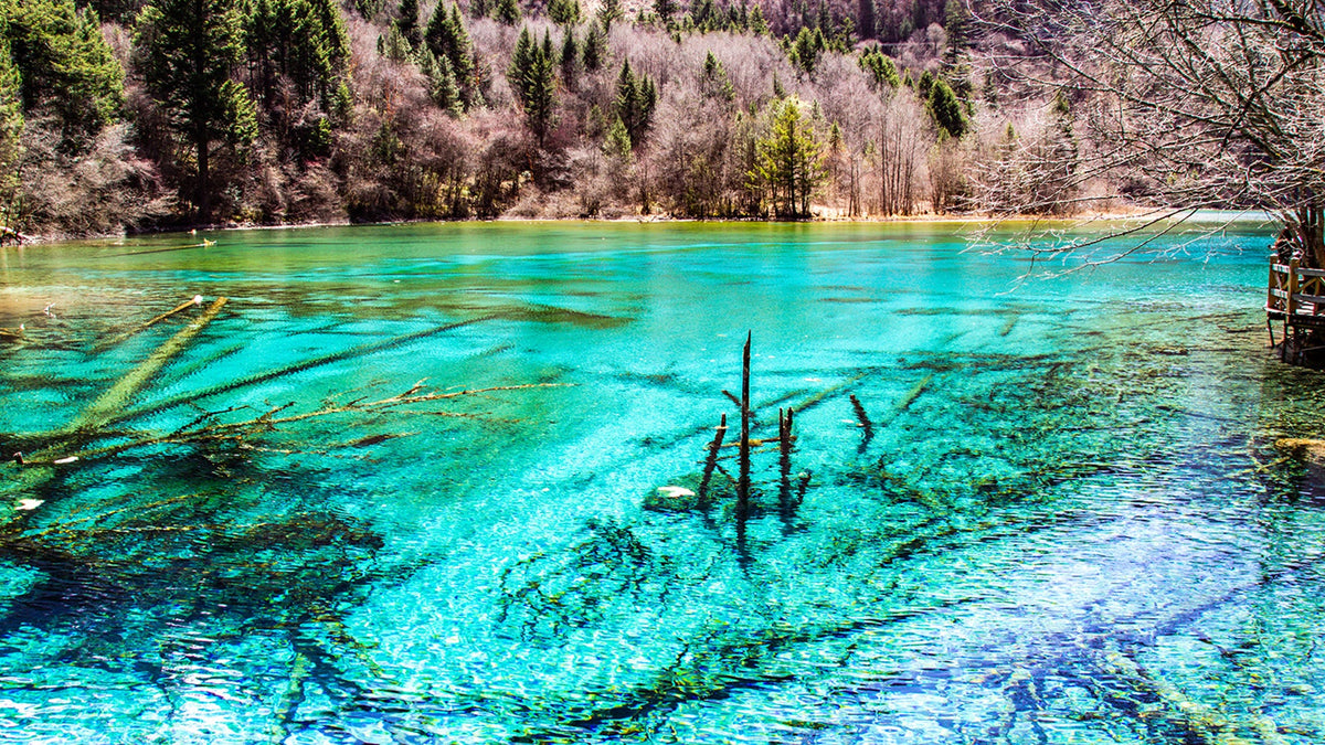 Jiuzhaigou - Huanglong 1 - Day Chartered Car (Including High - Speed Rail Station Transfer)