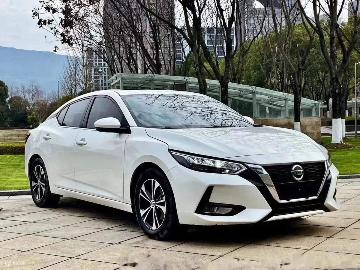 Haikou Private Car Charter - One Day Tour