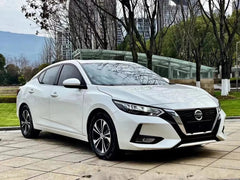 Haikou Private Car Charter - One Day Tour