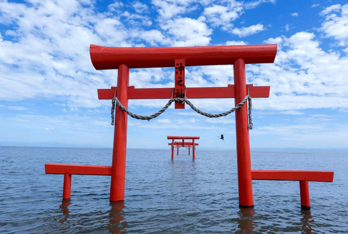 Saga Private Car Day Trip - Customized Itinerary: Yutoku Inari Shrine | Takeo City Library | Oouo Shrine | Karatsu Castle | Arita Ware (Porcelain) | Ureshino Onsen