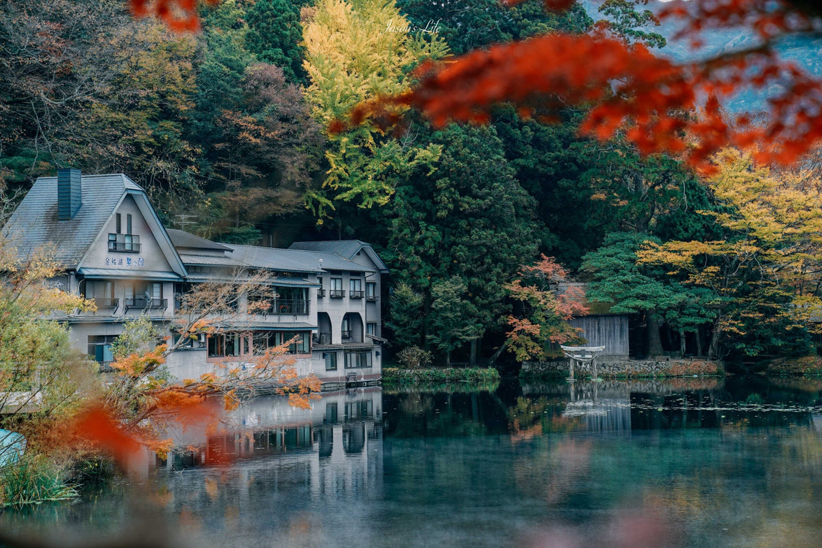 Kyushu | Oita Kyushu Natural Animal Park - Beppu Sea Hell Hot Spring - Yufuin - Kinrin Lake Customized Chartered Day Tour