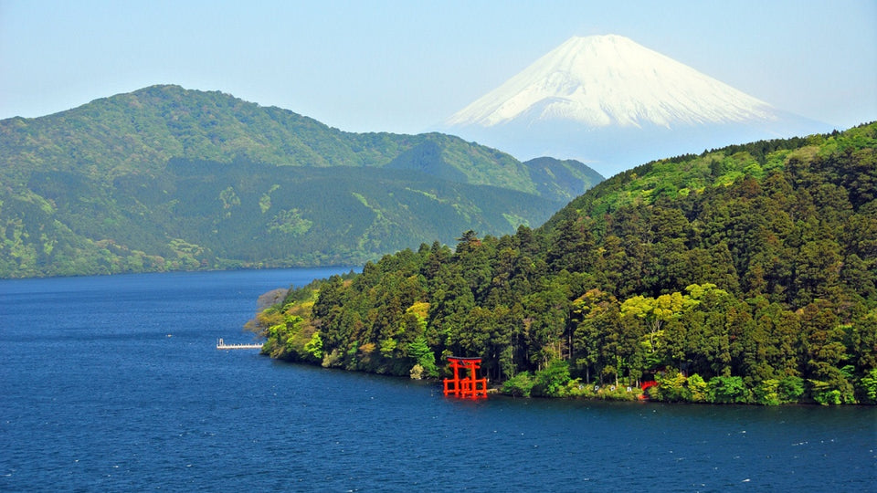 Hakone Private Chartered Day Tour (From Tokyo)