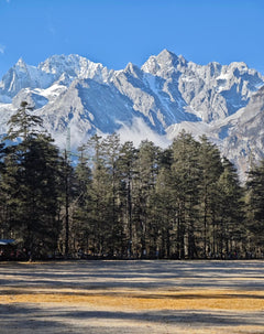 One - day private car tour of Jade Dragon Snow Mountain and Baisha Ancient Town in Lijiang, Yunnan