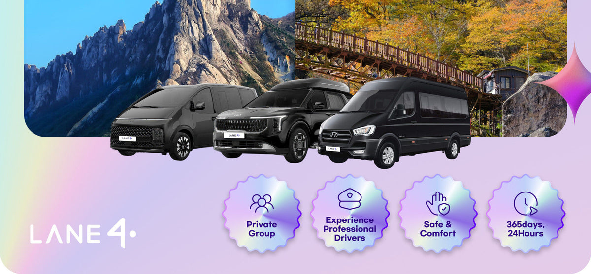 K - Pop & K - Drama Tour - Private Car Charter to Seoul - Nami - Sokcho - Gangneung