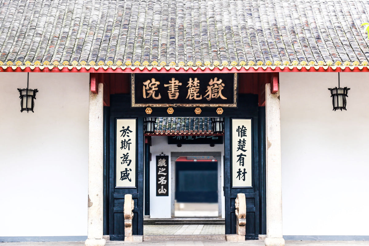 Changsha City Private Car Charter (1 Day)