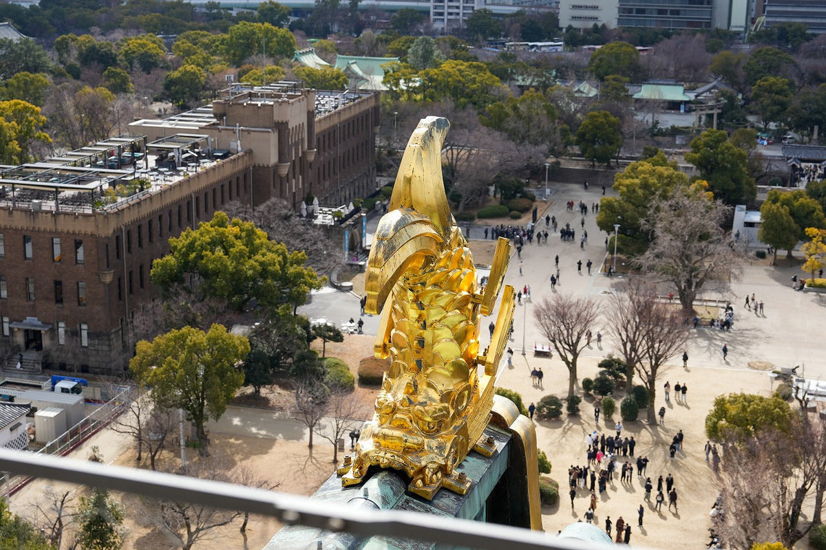 1 - Day Kyoto & Nara Day Trip Highlights Tour with a Private Car