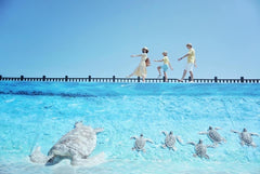Penghu Private Car Charter: Choose Your Own Attractions on the Main Island (Departing from Penghu)