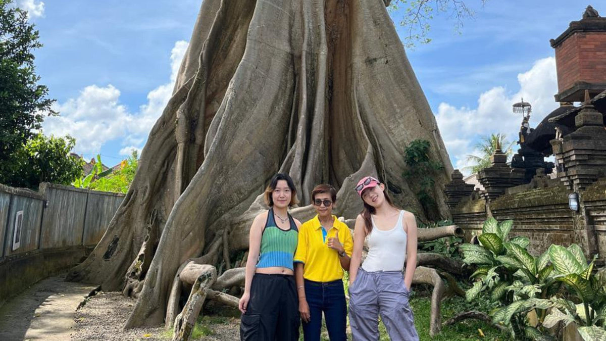 Bali Female Driver (Private Car Charter)