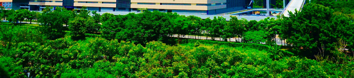 Shenzhen Sam's Club Chartered Day Tour