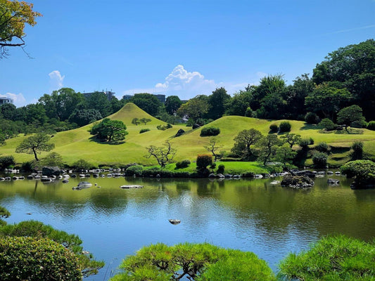 Kumamoto Departure Aso Area Chartered Car Day Tour | Kumamoto Castle | Mount Aso Crater | Kusasenri | Kamishikimi Kumanoza Shrine | Shirakawa Spring Source | Aso Shrine | Daikanbo | Nabe Falls | Kurokawa Onsen, etc.