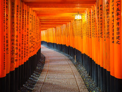 Osaka Departure丨Kansai Region Customized Private Car Day Tour (Osaka/Kyoto/Nara/Kobe/Wakayama)